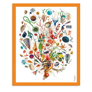 CARTHUSIA A’mmare – Pareo Cotone Fondo Bianco Bordo Arancio