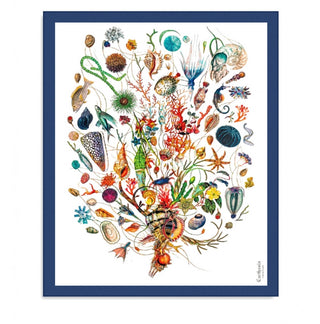 CARTHUSIA A’mmare – Pareo Cotone Fondo Bianco Bordo Blu